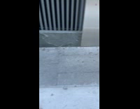 Lots of lanternflies roam outside BlackRock building