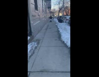 Girl walks past guy with jeans down 