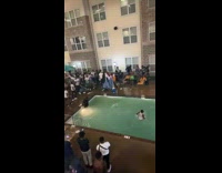 Bunch of guys flop into pool 