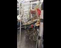 Pet raccoon seen inside cage on train 