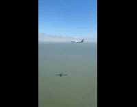 Planes landing at the same time
