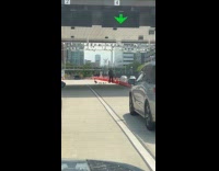 Port authority officer helping geese family cross road
