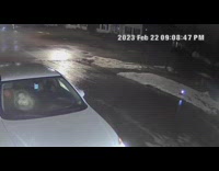 Guy gets out car slide down driveway