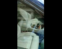 Dildo found inside car 