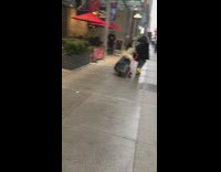 man carrying large flower plant on dolly