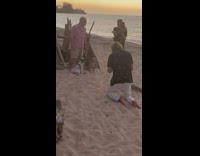 Guy with two dogs sit beach logs