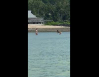 Woman white bikini stand pose in beach