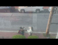 Collab IITW - Lady Prompts Camera on Car then Dances with Friend