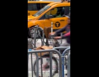 Bee swarm hive on the bike seat Part 1