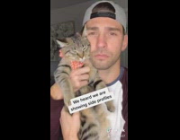 Guy brown cat turn to side profile 