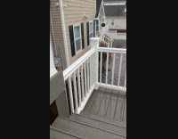 Dog stares at flooded street from house