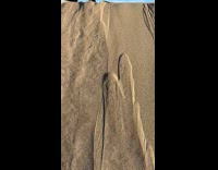 Dune on sand looks strange