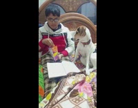 Dog watches kid eat food at bed