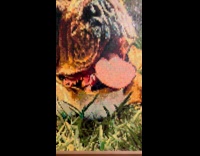 Dog sits near self-portrait painting on wall