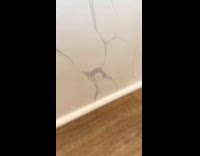 Couple arguing about marking on wall 
