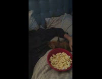 black dog wants popcorn from red bowl