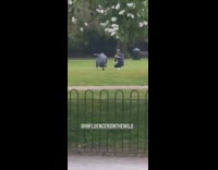 Collab IITW - Filmer narrate movement of three men photo shoot