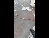 Collab Clips_MPUGC - Man using leaf blower to remove ice on roof 