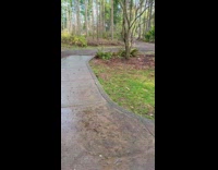 Baby goat gets picked up and brought back to mom