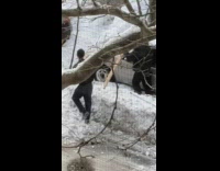 Collab WINY - Guy uses blue dustpan to shovel snow 
