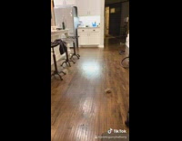 Cat light head pop up from kitchen cabinet