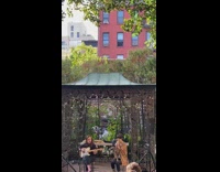 Lady dances red apartment window music 