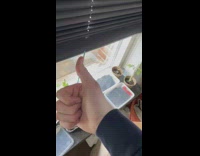 Plant inside the plastic container by the window