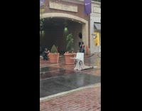 Woman dress pose on street  while raining