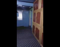 Man opens the door with cow inside