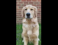 so you're breaking up with me because i drool 