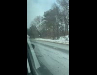Car with white and red heart balloons 
