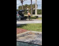Collab Kook Of The Day - Surfer washes himself with gallon of water in parking lot