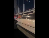 Collab WINY - Brown dog ride on white limousine bridge