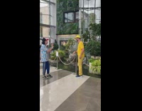 Yellow shirt hat guy green plants mall