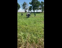 Drone with seed fertilizer flew at farm