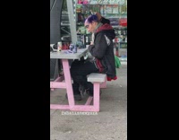 Guy with Bald Spots and Purple Hair Laughs 