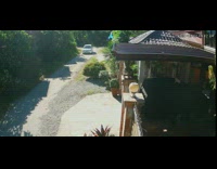 Security footage fast white car hit cat