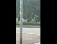 Woman leaning on lamp post taking pictures