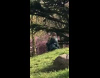 Man take picture of woman sakura tree picnic