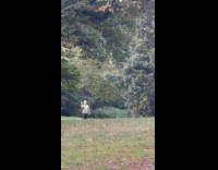 Man practice fly fishing at park grass
