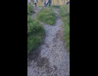 Collab IITW - People trespass for photoshoot by the lake