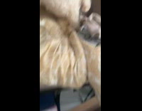 Dog sits at bed lifted by mom