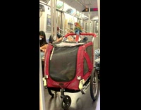 Snake and parrot on wagon in subway 