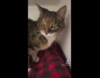 Guy on red blanket wide cross eyed eyes