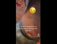 Woman films her toddler son who lifts up shirt rubbing belly