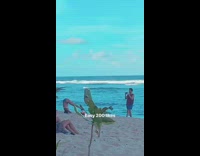 Girl does headstand on beach for picture