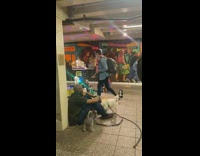 Jazzajilo performs with animal toys 