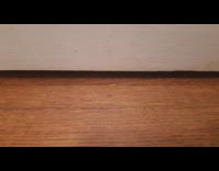 Grey white cat paws under white door 