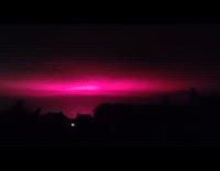 Pink light seen from tomato greenhouse