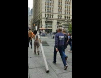 Shirtless man walks thru nyc dragging grey cross